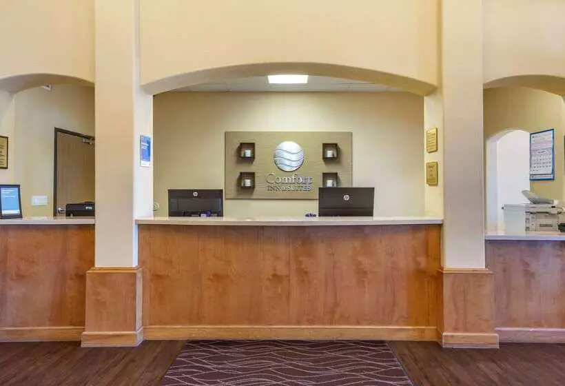 ホテル Comfort Inn & Suites