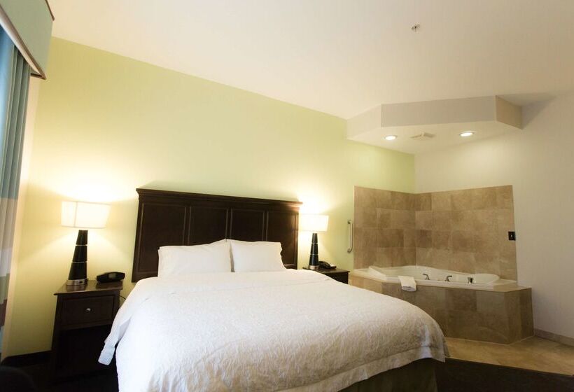 酒店 Hampton Inn & Suites Middlebury