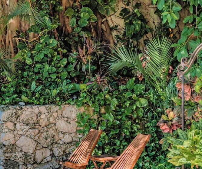 בית מלון כפרי Maison Del Embajador