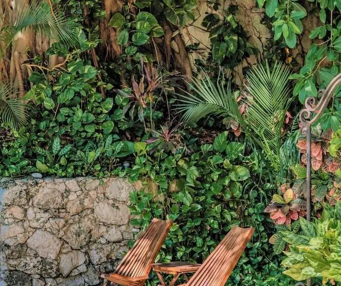 호텔 Maison Del Embajador