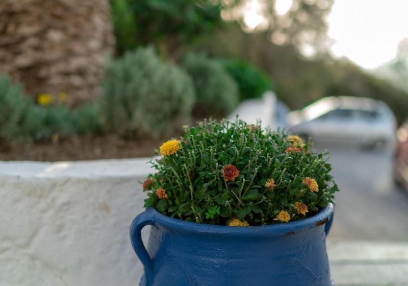 בית מלון כפרי Plakias Bay