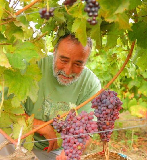 בית מלון כפרי Plakias Bay