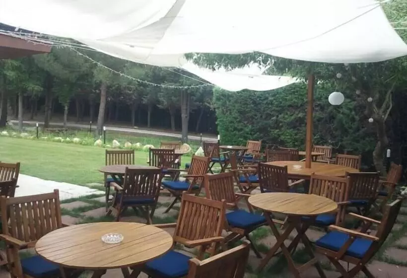 酒店 Rural Villarromana