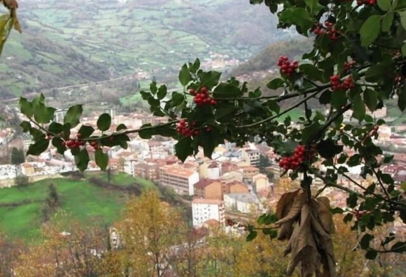 ホテル Ruta De La Plata De Asturias
