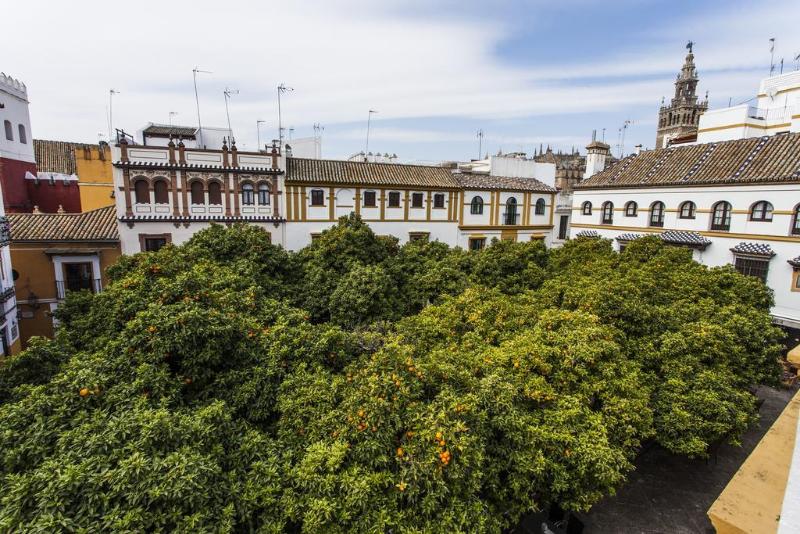 هتل Boutique Elvira Plaza