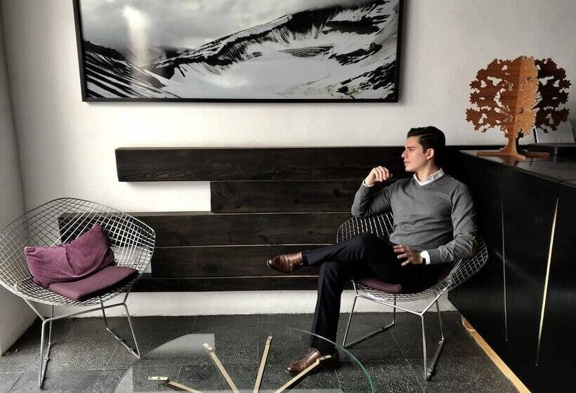 هتل Boutique Mo17