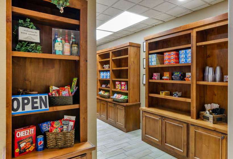 ホテル Comfort Inn & Suites Jerome   Twin Falls