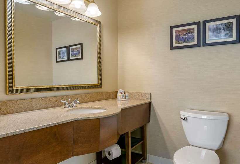 ホテル Comfort Inn & Suites Jerome   Twin Falls