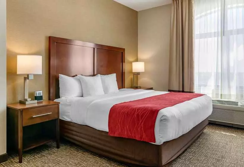 酒店 Comfort Inn & Suites Jerome   Twin Falls