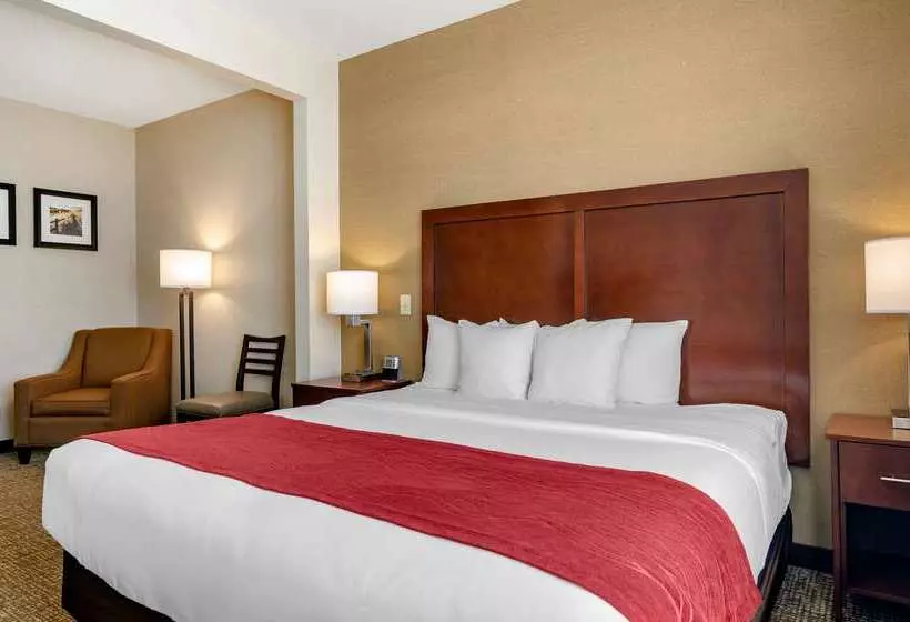 酒店 Comfort Inn & Suites Jerome   Twin Falls