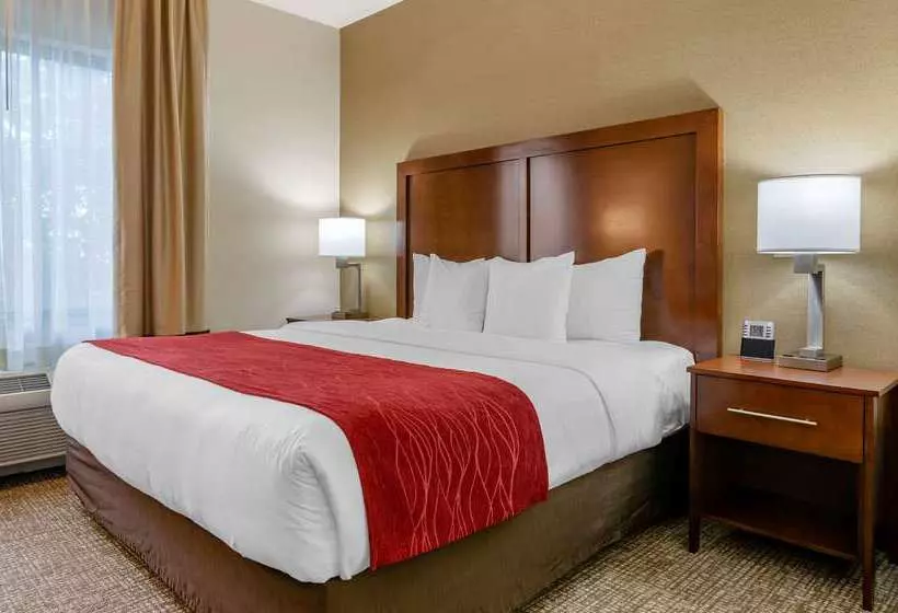 酒店 Comfort Inn & Suites Jerome   Twin Falls