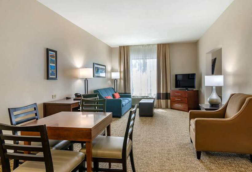 ホテル Comfort Inn & Suites Jerome   Twin Falls