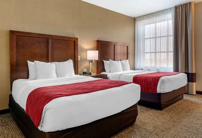 ホテル Comfort Inn & Suites Jerome   Twin Falls