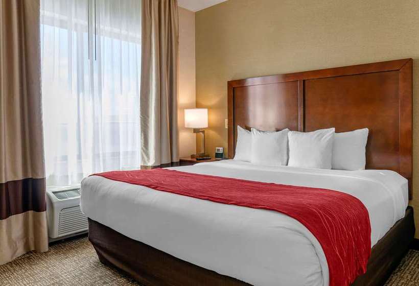 ホテル Comfort Inn & Suites Jerome   Twin Falls