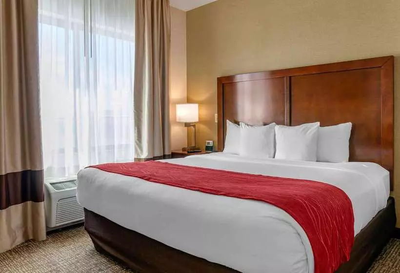 酒店 Comfort Inn & Suites Jerome   Twin Falls