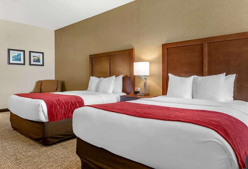 ホテル Comfort Inn & Suites Jerome   Twin Falls