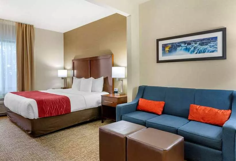 酒店 Comfort Inn & Suites Jerome   Twin Falls