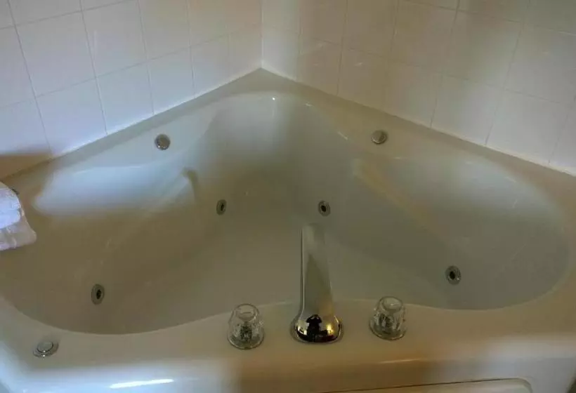 酒店 Reston Inn & Suites