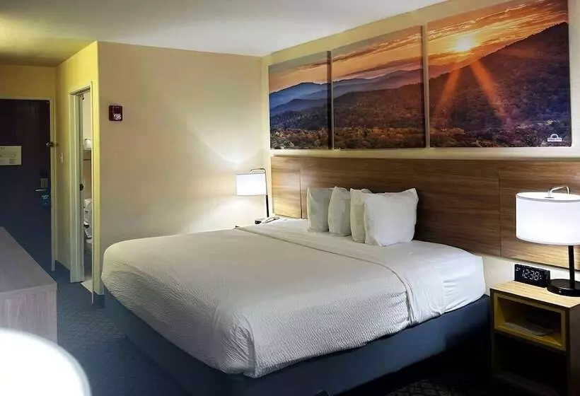 酒店 Days Inn & Suites By Wyndham Eunice