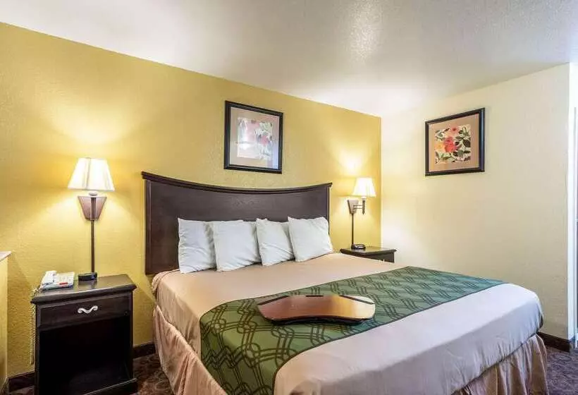 ホテル Econo Lodge Inn & Suites Searcy