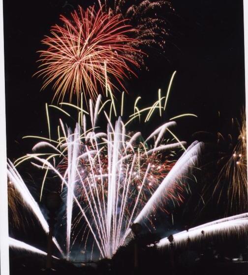 فندق Edendale House