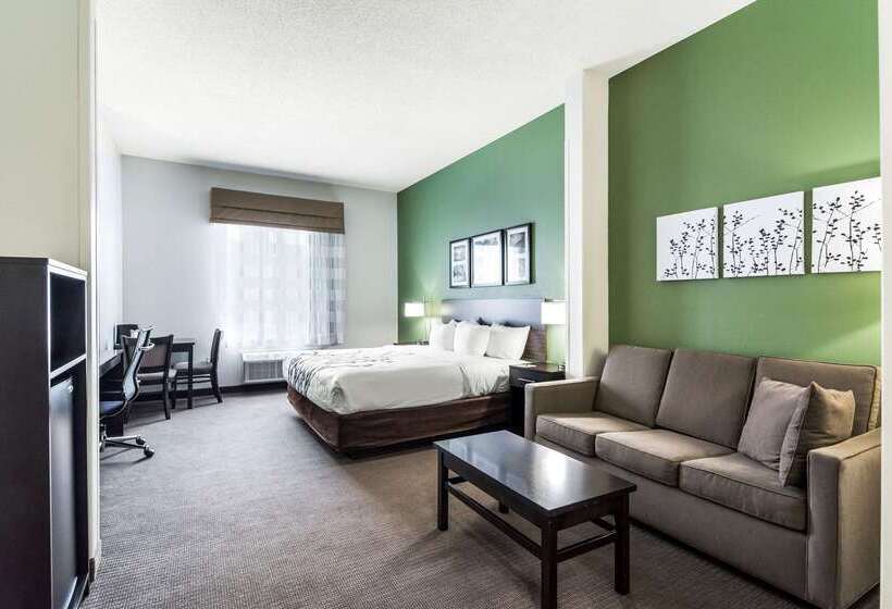 호텔 Sleep Inn & Suites Smithfield Near I 95