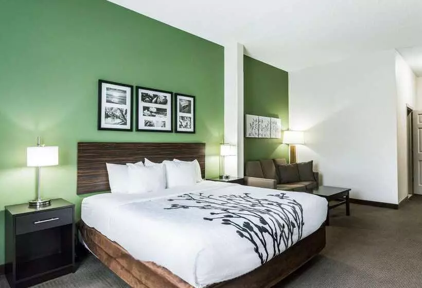 ホテル Sleep Inn & Suites Smithfield Near I 95