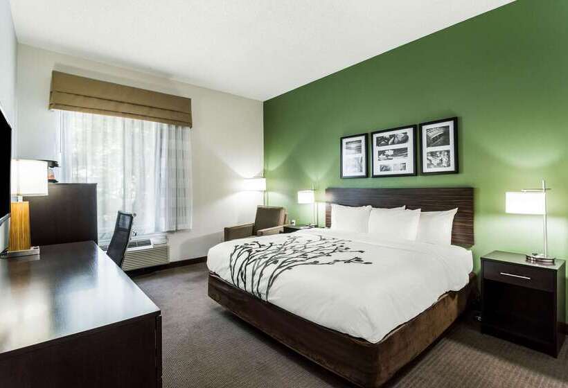 호텔 Sleep Inn & Suites Smithfield Near I 95
