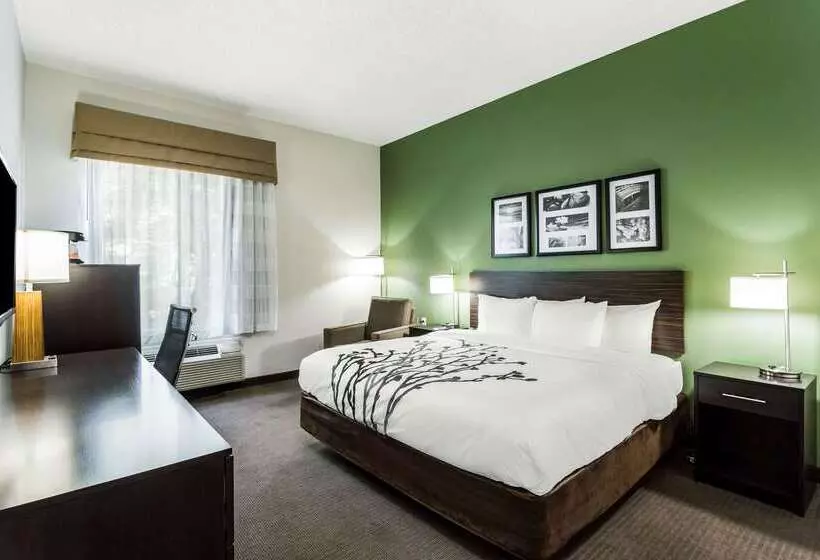 ホテル Sleep Inn & Suites Smithfield Near I 95