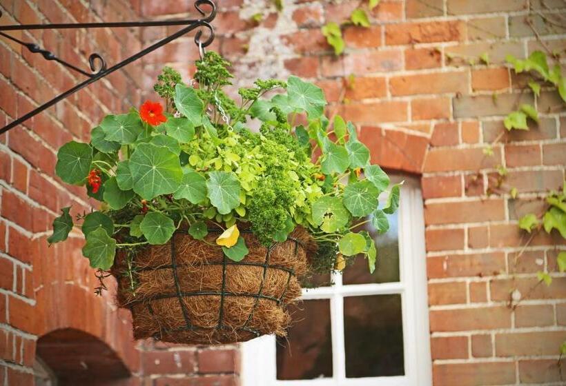 فندق The King S Head