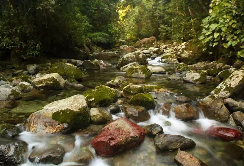 هتل The Lodge At Pico Bonito
