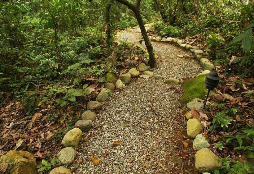 هتل The Lodge At Pico Bonito