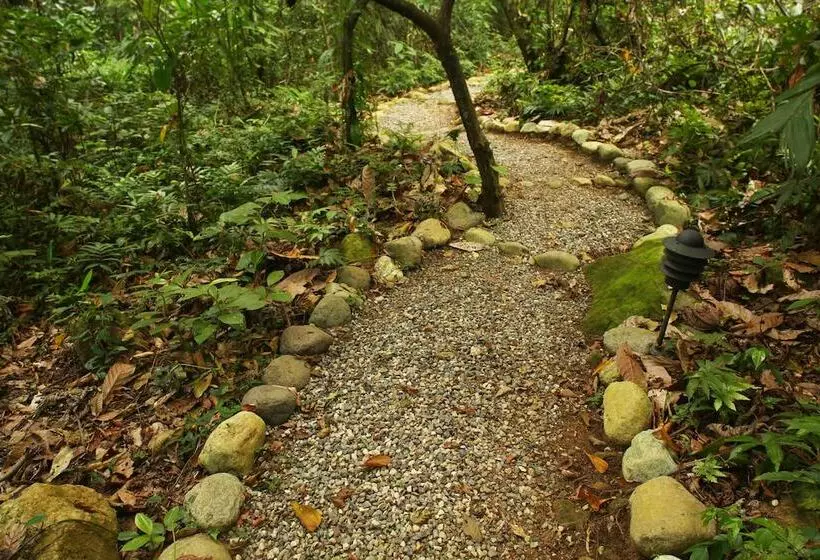 هتل The Lodge At Pico Bonito