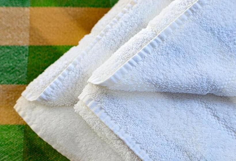 בית מלון כפרי Whyte Harte