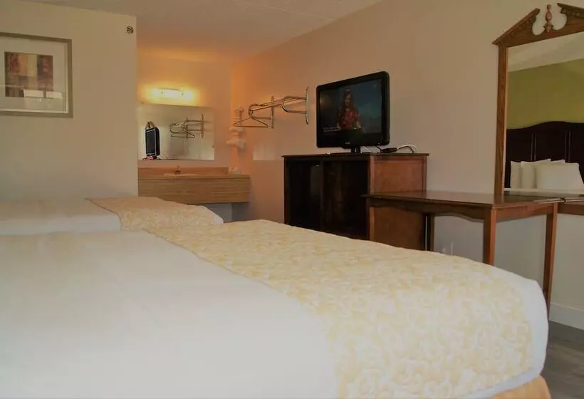 호텔 Willow Tree Inn Branson