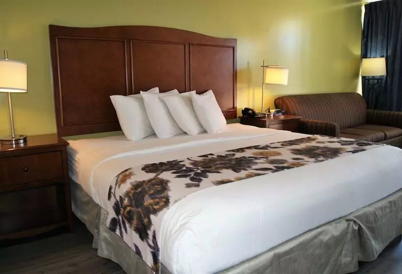 호텔 Willow Tree Inn Branson