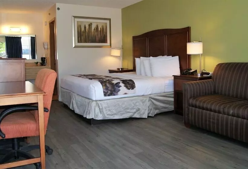 호텔 Willow Tree Inn Branson