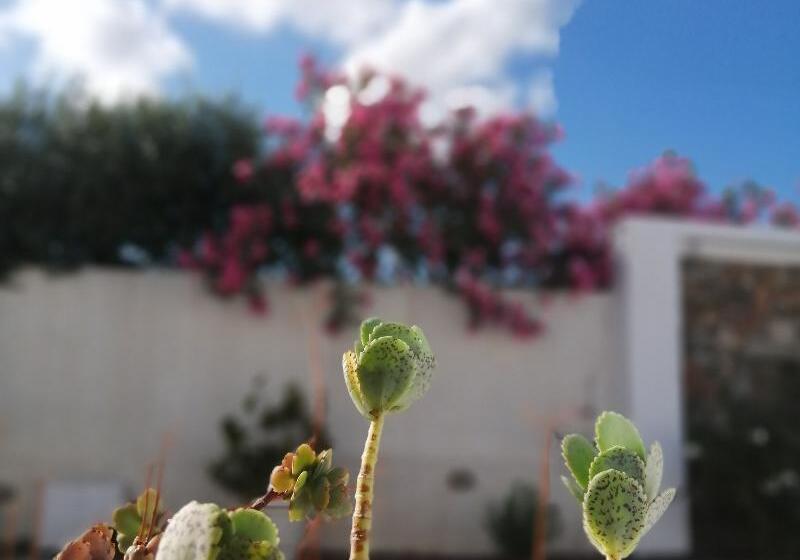 Mouras Resort   Luxury Maisonette Villas