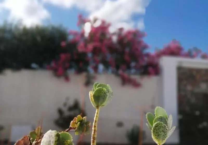 Mouras Resort Luxury Maisonette Villas