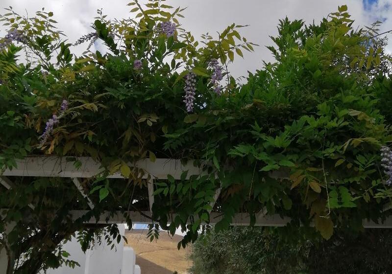 Mouras Resort   Luxury Maisonette Villas