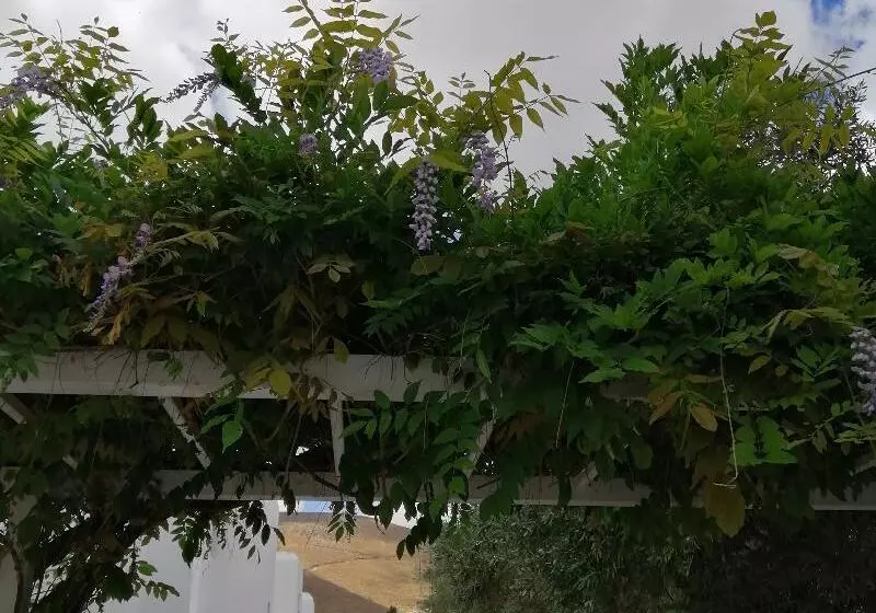 Mouras Resort Luxury Maisonette Villas