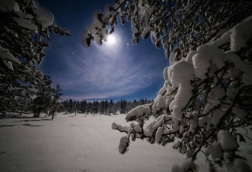 Wilderness Hotel Nellim & Igloos