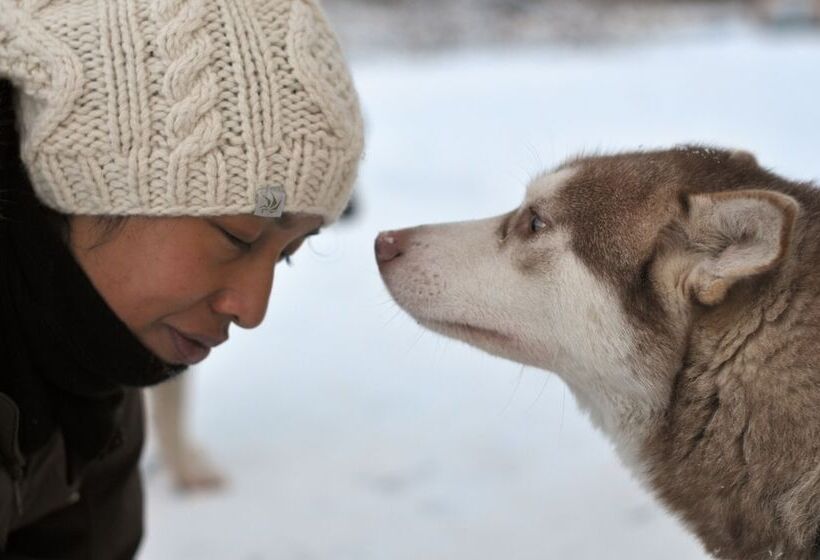 Wilderness Hotel Nellim & Igloos