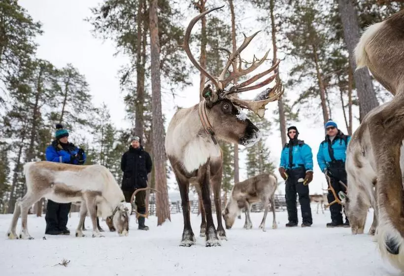 Wilderness Hotel Nellim & Igloos