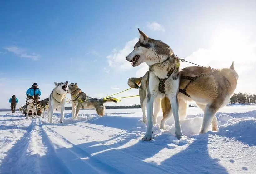Wilderness Hotel Nellim & Igloos