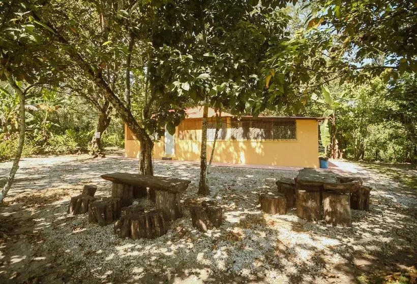 Cabañas Kin Balam Palenque