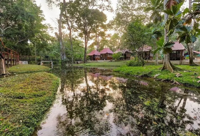 Cabañas Kin Balam Palenque