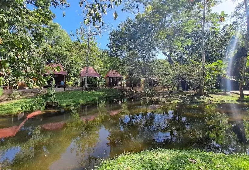 Cabañas Kin Balam Palenque