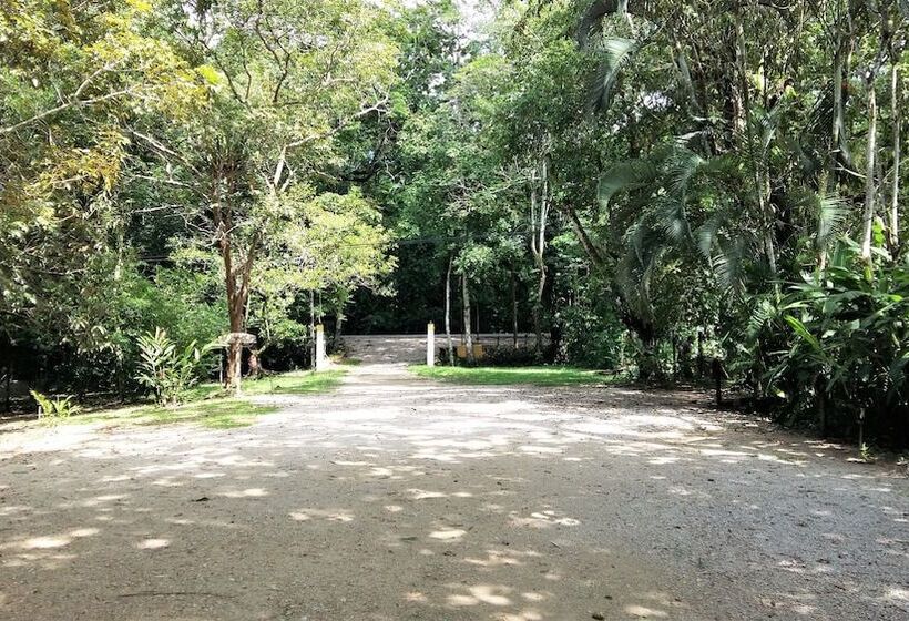 Cabañas Kin Balam Palenque