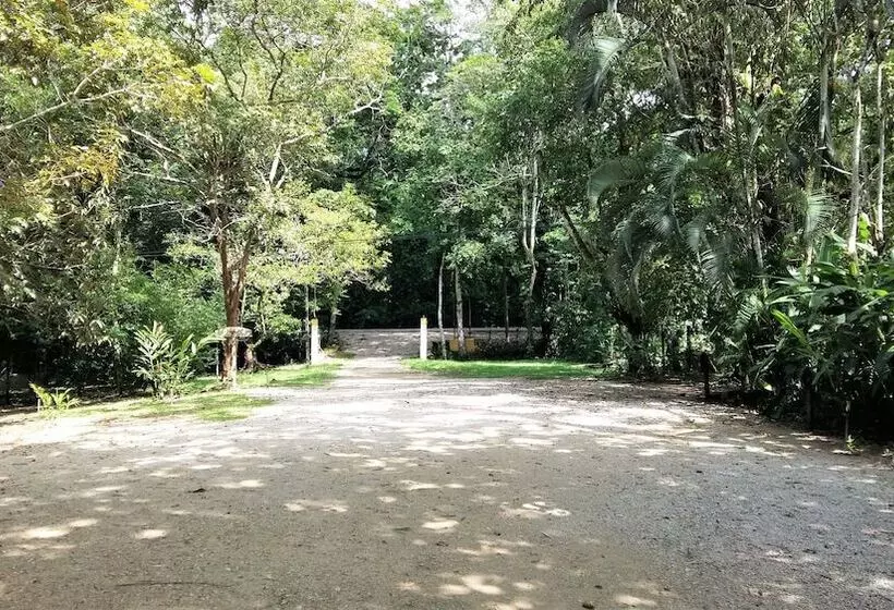 Cabañas Kin Balam Palenque